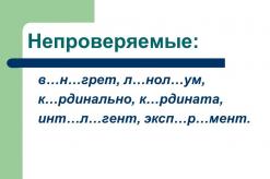 Зачетная работа по русскому языку Тест на тему «Безударные гласные в корне слова»